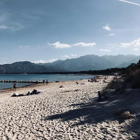 Magnifique Duplex 3 Climatisees 6 Personnes Appartement Calvi (Corsica)